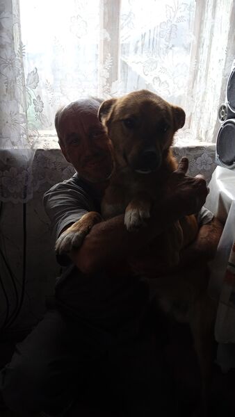  ,   , 54 ,   ,   
