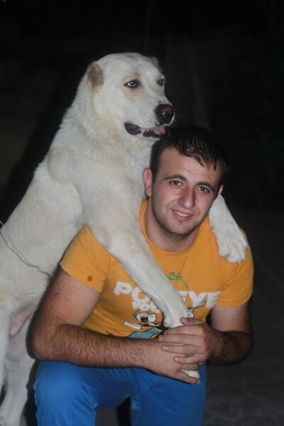  ,   Hamo, 36 ,   