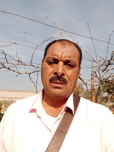  ,   Alsyd, 49 ,   ,   