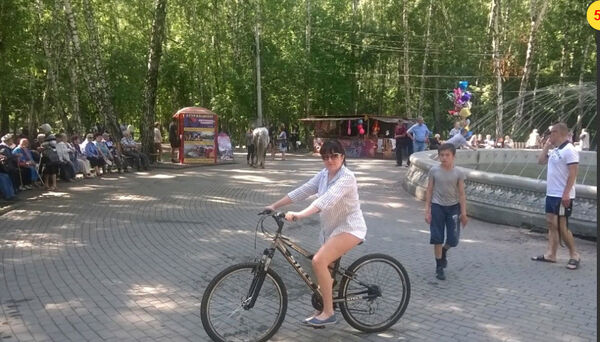  -,   , 52 ,   ,   , c 