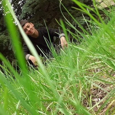  ,   Alpamis, 23 ,   ,   