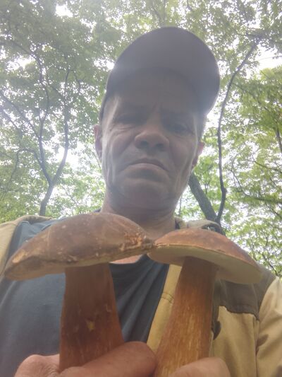  -,   , 55 ,   ,   , c 