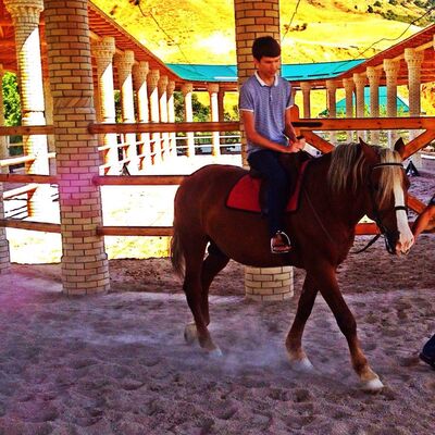  ,   Saidazimxon, 35 ,     , c 