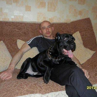  ,   , 44 ,   ,   , c 