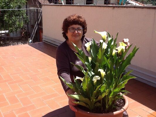  Alba Iulia,   Lena, 63 ,   ,   , c 