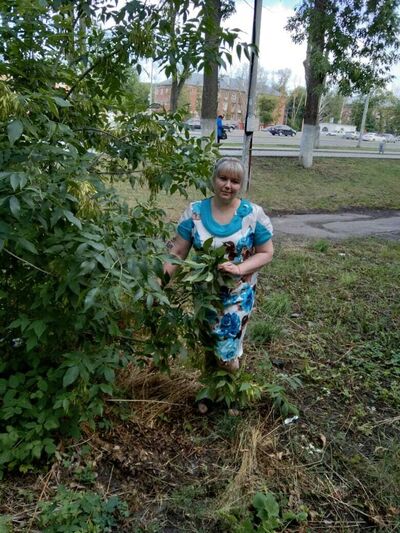  ,   , 53 ,   
