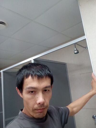  -,   , 41 ,  