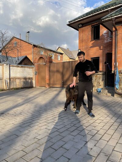  ,   Ali, 34 ,   ,   
