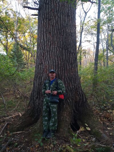  ,   , 55 ,   ,   , c , 