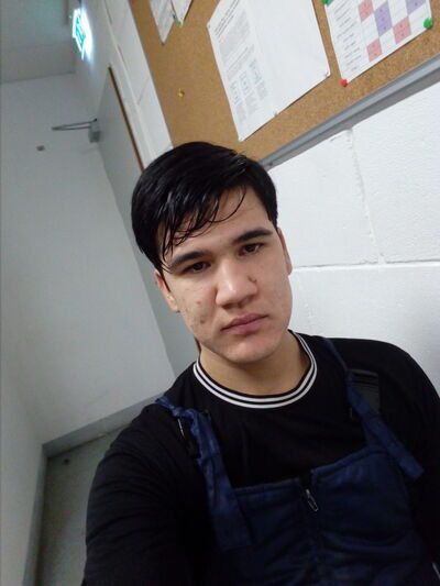  ,   Aladin, 31 ,  