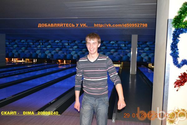  3170018  Dima 8240, 34 ,    