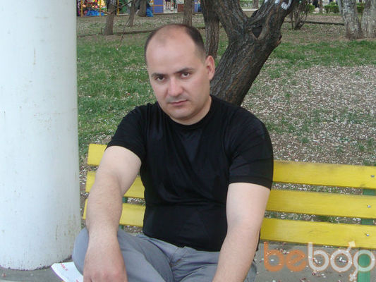  ,   Mr Ed, 41 ,   