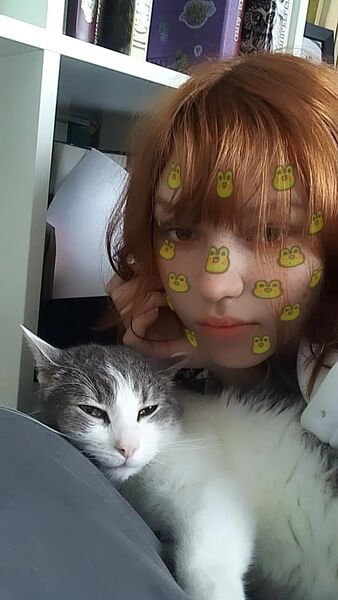  -,   , 22 ,   , 