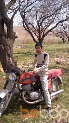  ,   Alisher, 38 ,   ,   , c 