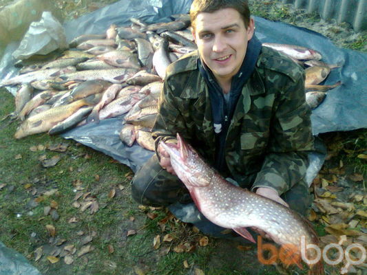  ,   Koss, 43 ,   , 