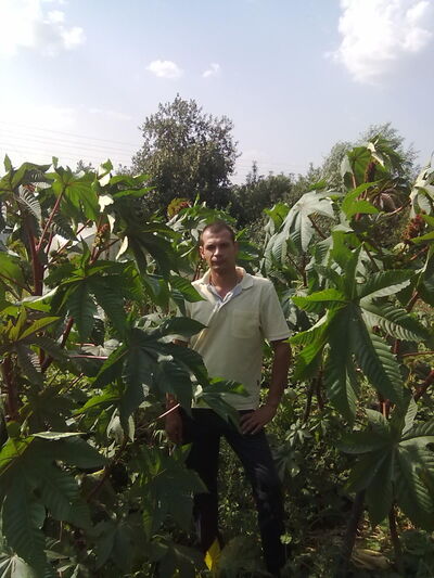  ,   Vladimir, 51 ,   