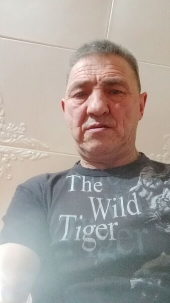   ,   , 62 ,   ,   