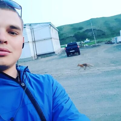  -,   , 31 ,   ,   , c 