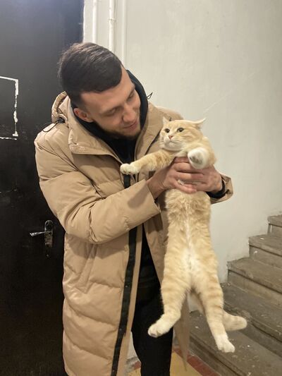  ,   , 27 ,  