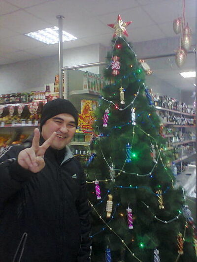  ,   Mustang, 37 ,   ,   , c 