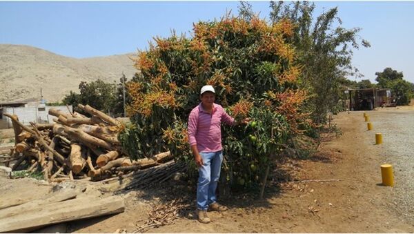  Salaverry,   Vidal, 66 ,   ,   