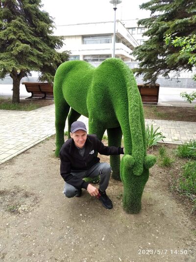  ,   Vladimir, 50 ,   c 