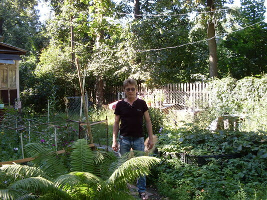  ,   , 51 ,   ,   