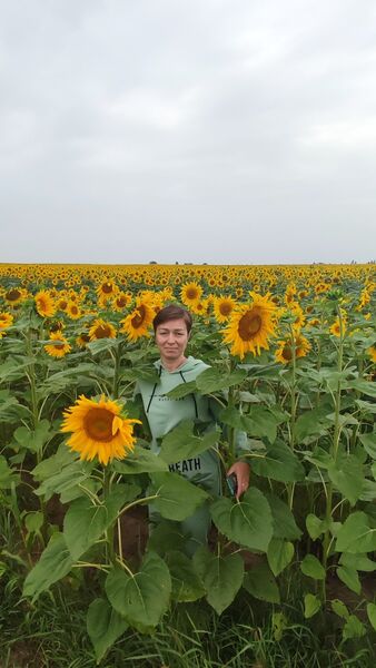  ,   , 46 ,   c 