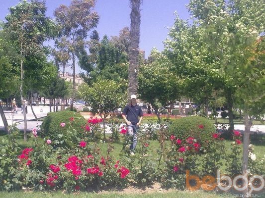 ���������� ����, ���� ������� �����, 34 ����, ������������ ��� ������