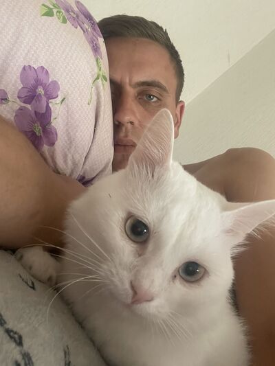  ,   Vin, 26 ,   ,   , c , 