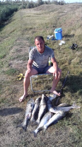  ,   Sergey, 37 ,   ,   , c , 