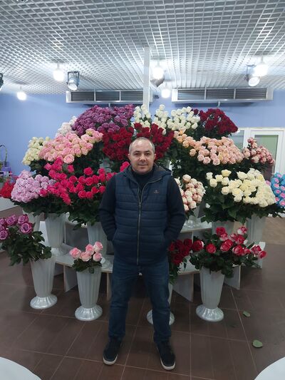  --,   , 43 ,   ,   , c , 