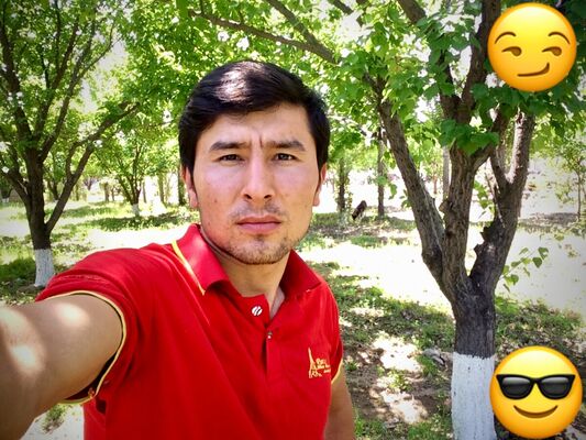  ,   Alik, 29 ,   ,   , c 
