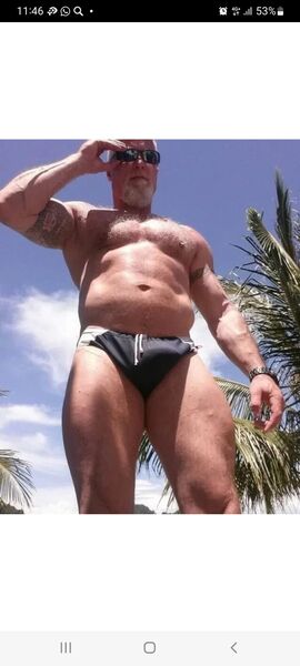  --,   , 48 ,   ,   
