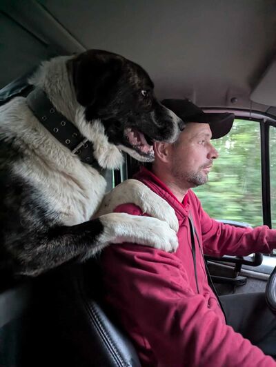  -,   , 46 ,   ,   , c , 