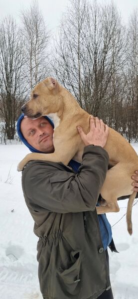  ,   Sergey, 43 ,   ,   , c , 