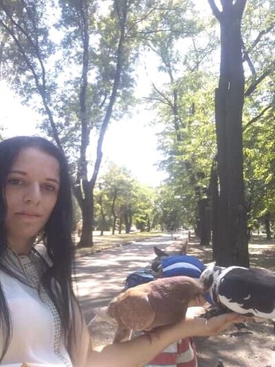   ,   , 29 ,   ,   , c 