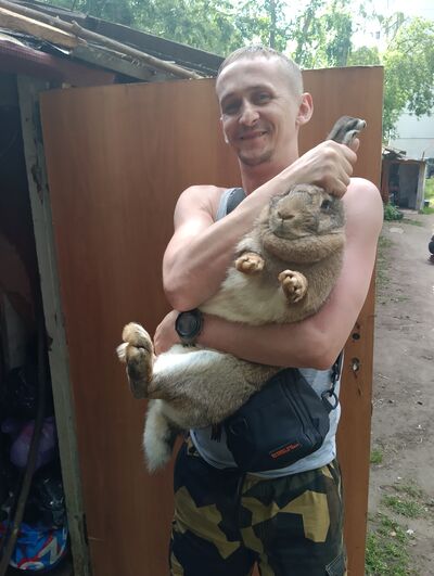  ,   , 37 ,   ,   