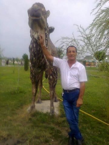  ,   Efqan, 64 ,   ,   , c 