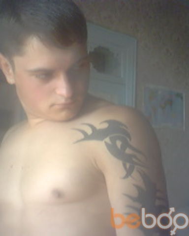 ���������� �������, ���� ������� Niku, 36 ���, ������������ ��� ������, ����� � ���������, c�������� ���������