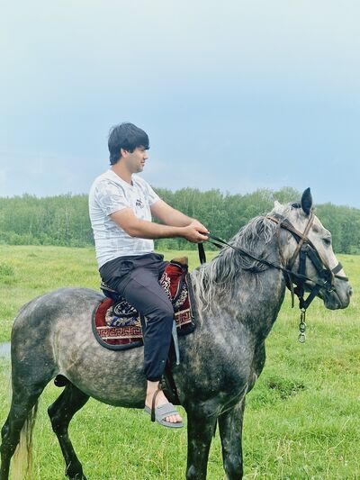  ,   Samad, 29 ,   ,   , c , 