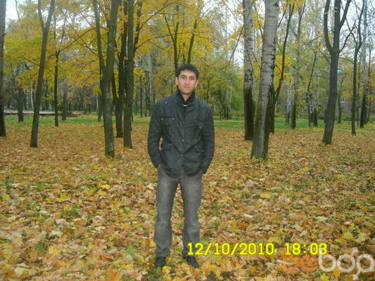  ,   SOFT, 37 ,     , c 