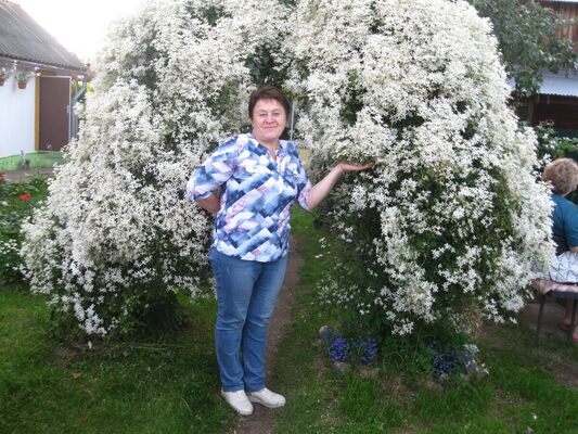  ,   , 59 ,     , c 