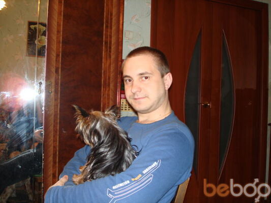  ,   SEGA, 42 ,   