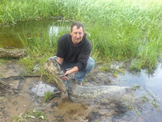  ,   Andrey, 54 ,   ,   , c 
