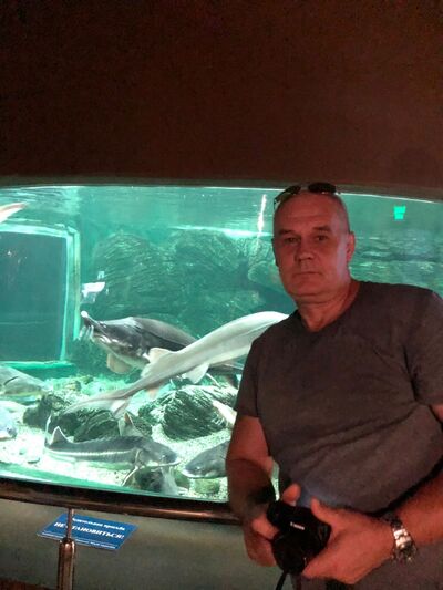  ,   , 55 ,   ,   