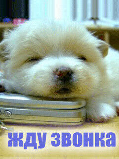  ,   C, 31 ,   ,   , c , 