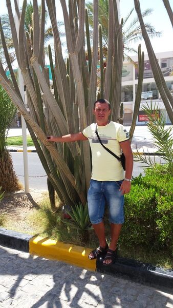  ,     , 53 ,   