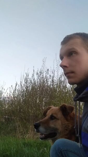  ,   Nikita, 31 ,   ,   , c , 