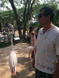  ,   , 59 ,   ,   , c 